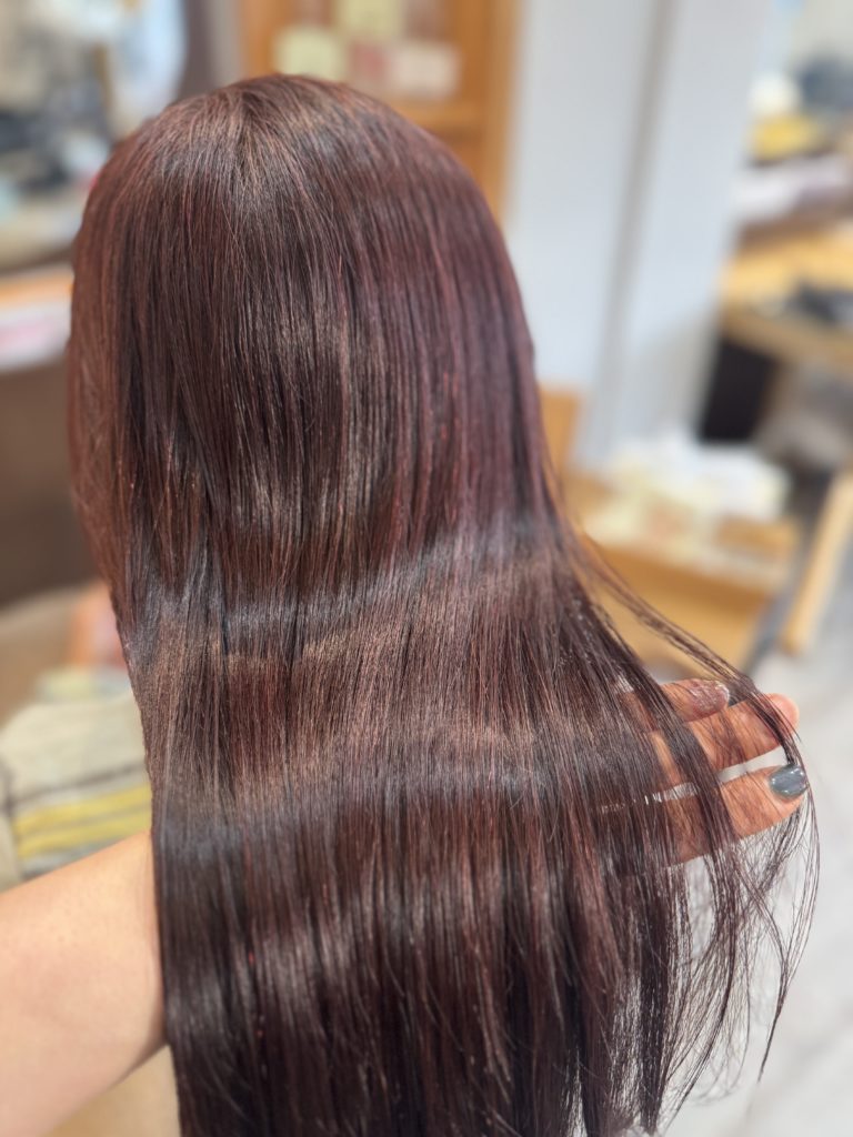 2026 1月のご予約空き状況(1/6現在